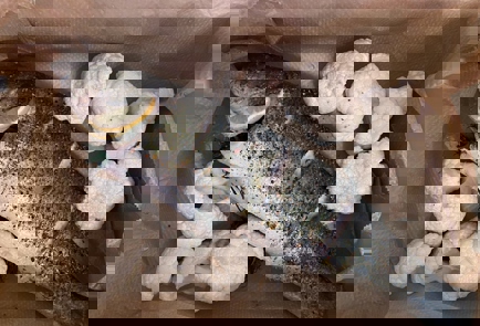 Step 3 Image