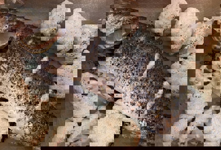 Step 4 Image