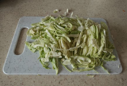 Step 12 Image