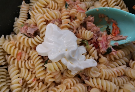 Step 16 Image