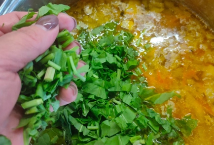 Step 15 Image