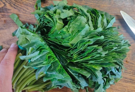 Step 7 Image