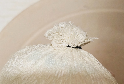 Step 7 Image