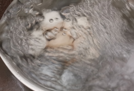 Step 5 Image
