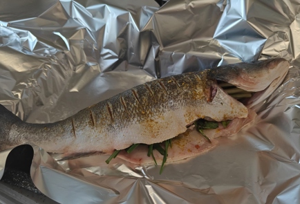 Step 6 Image