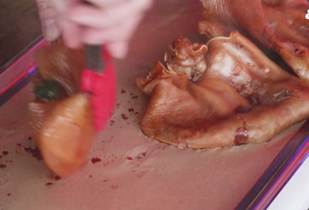 Step 8 Image