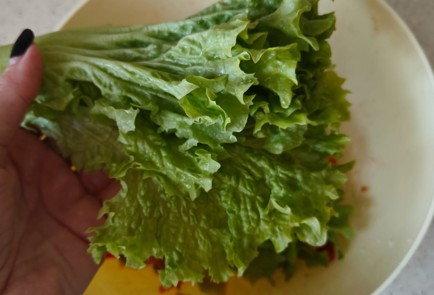 Step 11 Image
