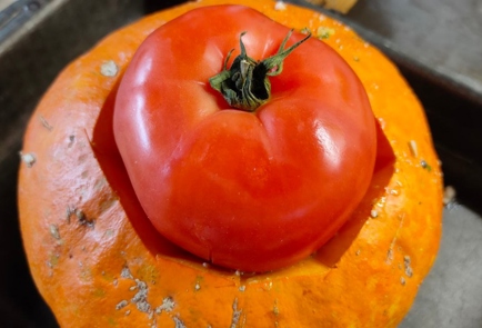 Step 14 Image