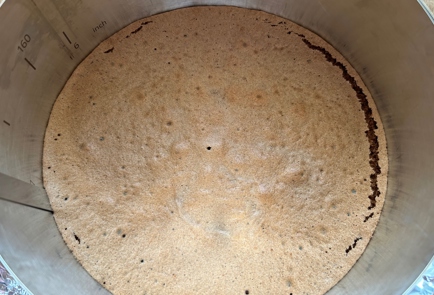 Step 9 Image
