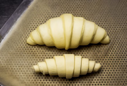 Step 15 Image