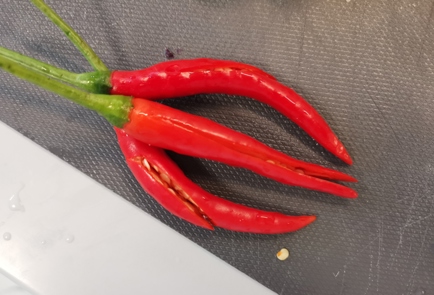 Step 4 Image