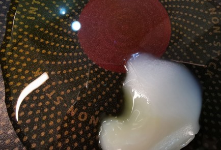 Step 4 Image