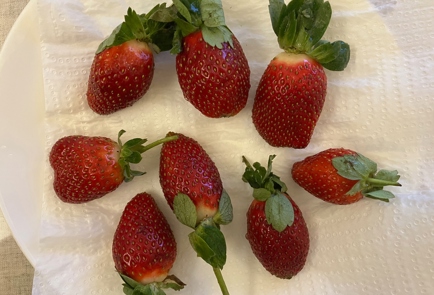 Step 3 Image