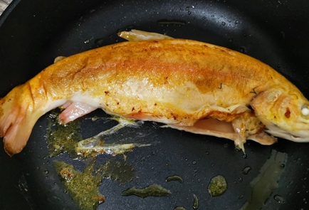 Step 10 Image
