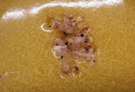 Step 5 Image