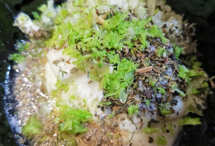 Step 7 Image