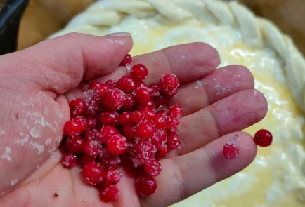 Step 12 Image