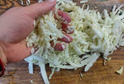 Step 9 Image
