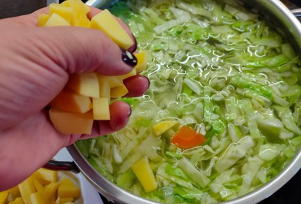Step 16 Image