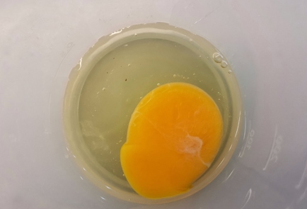 Step 1 Image
