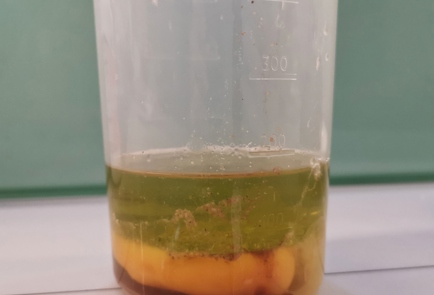 Step 7 Image
