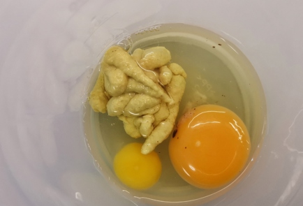 Step 3 Image