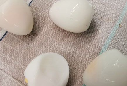 Step 8 Image