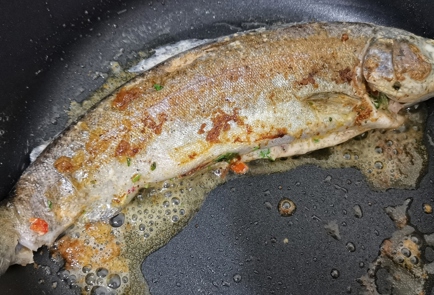 Step 9 Image