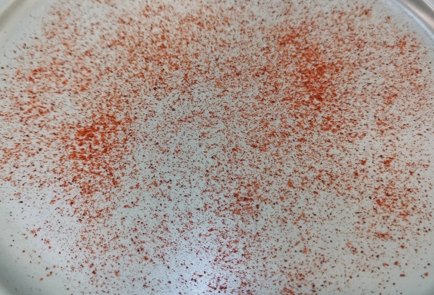 Step 9 Image
