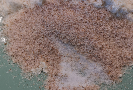 Step 3 Image
