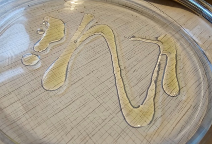 Step 6 Image