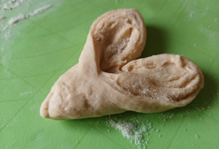 Step 15 Image