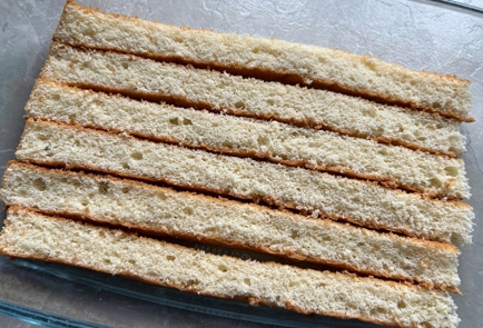 Step 8 Image