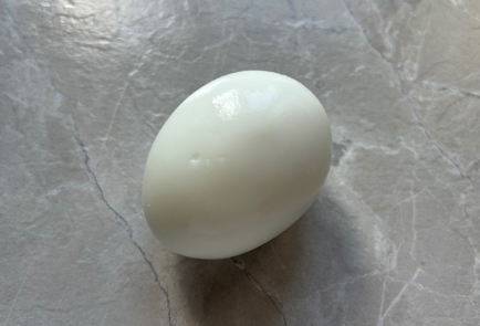 Step 9 Image