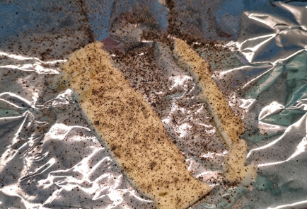 Step 10 Image