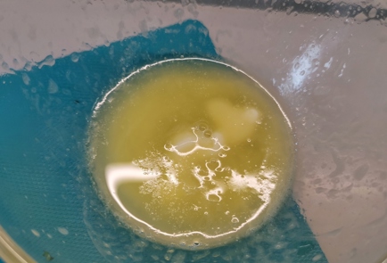Step 8 Image