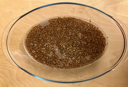 Step 7 Image