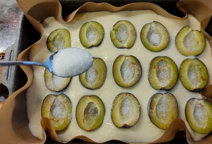 Step 11 Image