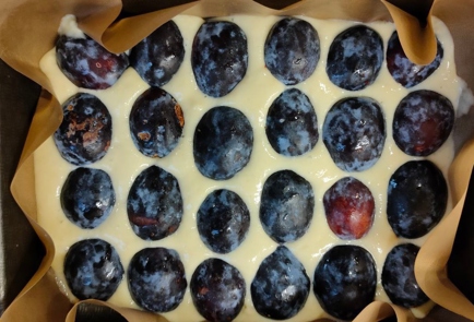 Step 9 Image