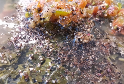 Step 7 Image