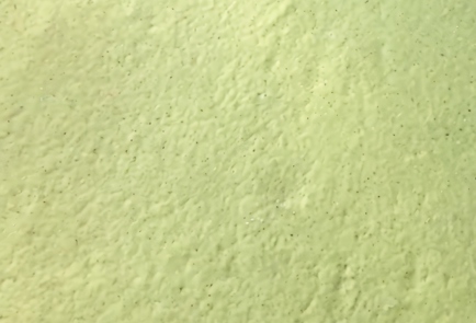 Step 11 Image