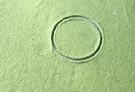 Step 12 Image