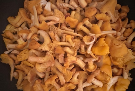 Step 3 Image