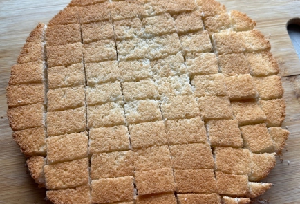 Step 10 Image