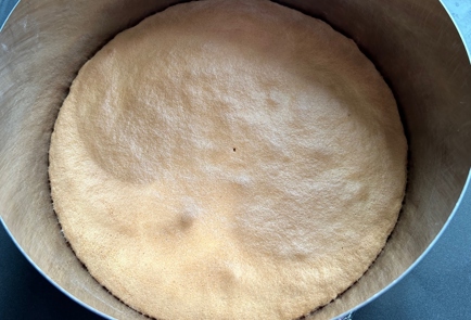 Step 9 Image