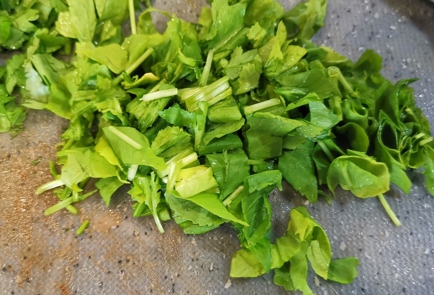 Step 9 Image