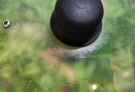 Step 11 Image