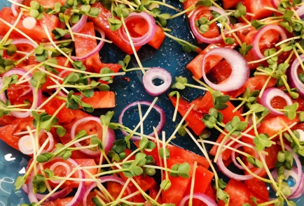 Step 9 Image