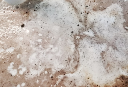 Step 11 Image