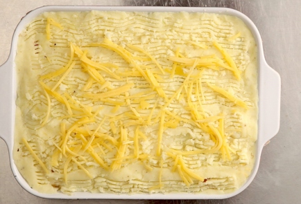 Step 8 Image